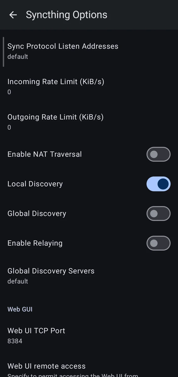 Syncthing Options on the phone, with only Local Discovery switched on